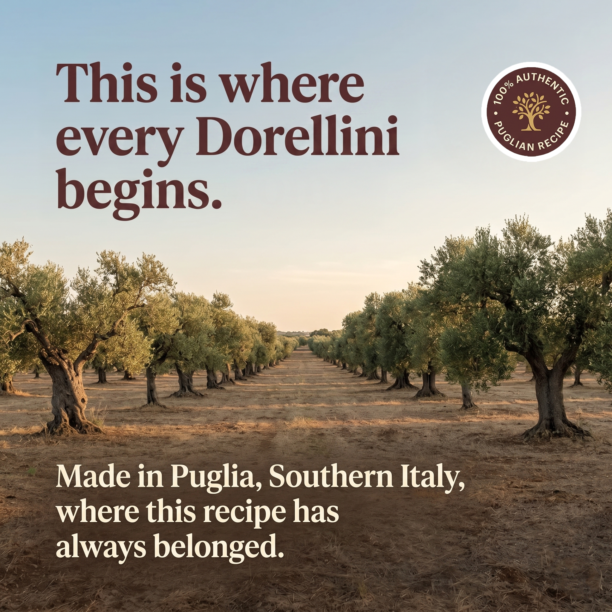Dorellini Italian Tarallini – Sweet Cocoa | 36 Snack Bags